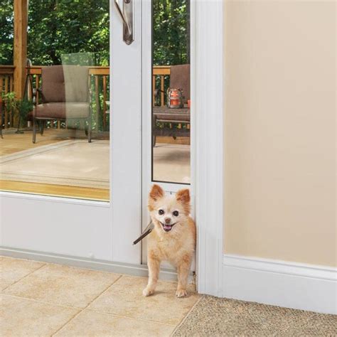 cat door for sliding glass door lowes